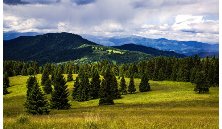 Fotka - Pozvánka - Pozemkové lesné spoločenstvo Nižní Mirkovce