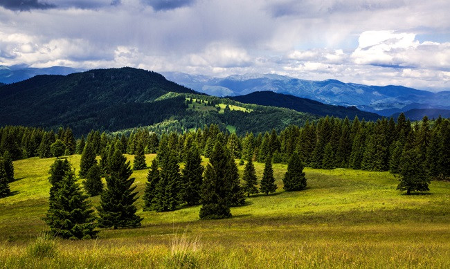 Fotka - Pozvánka - Pozemkové lesné spoločenstvo Nižní Mirkovce